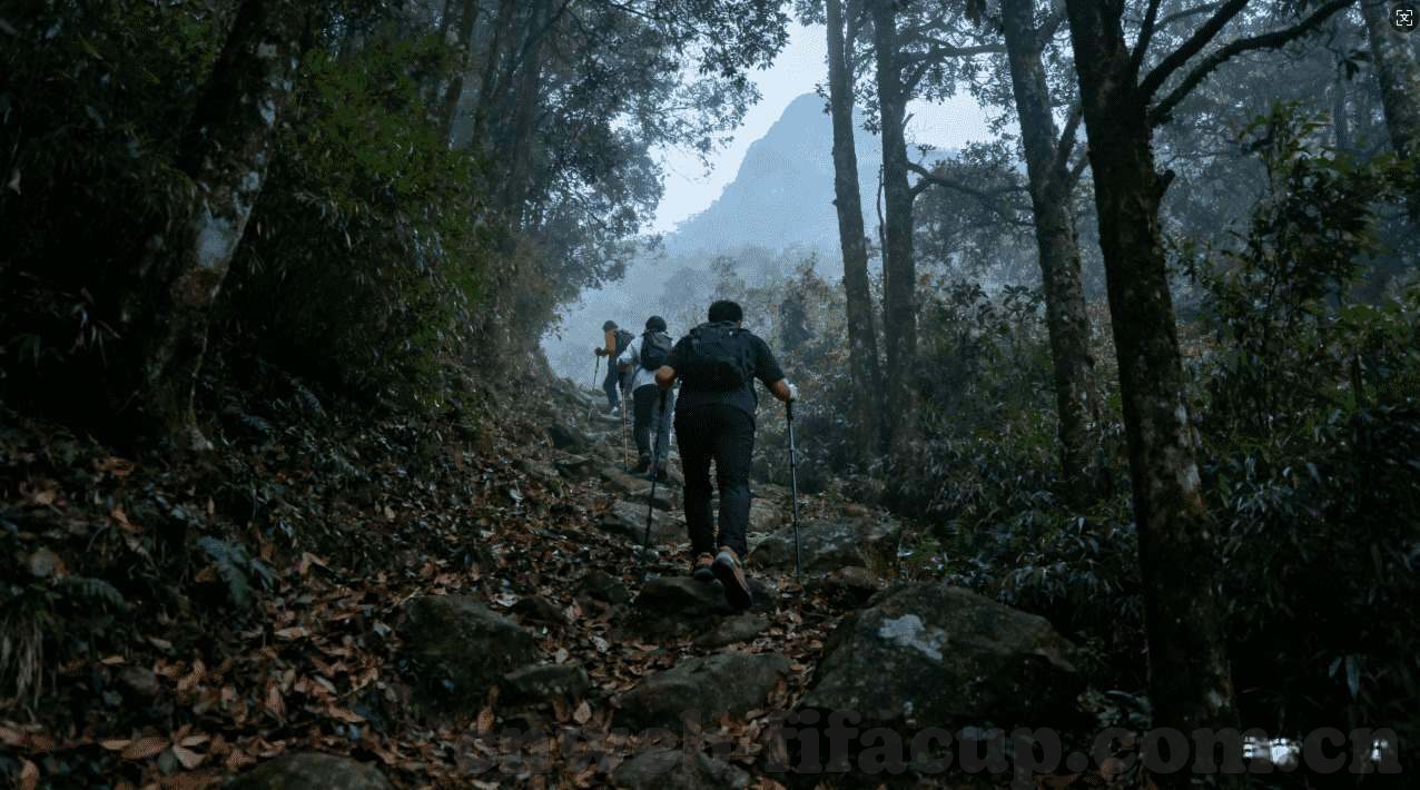 智慧平台ai世界杯竞猜-智慧平台助力AI世界杯竞猜，一场科技与娱乐的盛宴